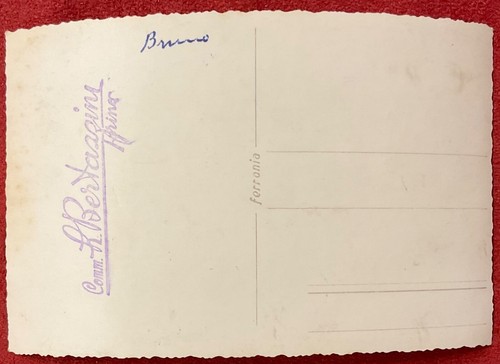 CALCIO NOVARA FOOTBALL CLUB CARTOLINA FOTOGRAFICA 11 AUTOGRAFI PIOLA ECC 1953.54 - Imagen 4 de 8
