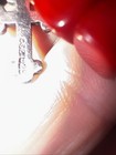 Bild 7 von 12
