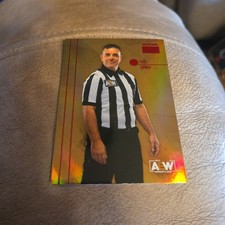 2022 Upper Deck AEW Metal Premium #PP-45 Paul Turner Wrestling Card