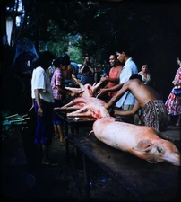 6x Stereo realist slides Hawaii Vacation 1955 Vintage Stereo Realist