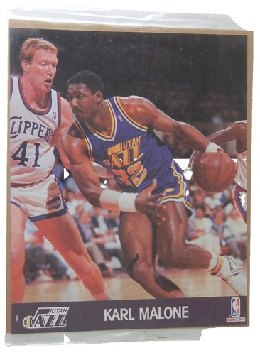 Karl Malone Panini Prizm Tiger レア！ 2022-23 Panini Prizm