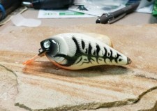 Custom painted 2.5 square bill crankbait (BONE WHITE CRAW)