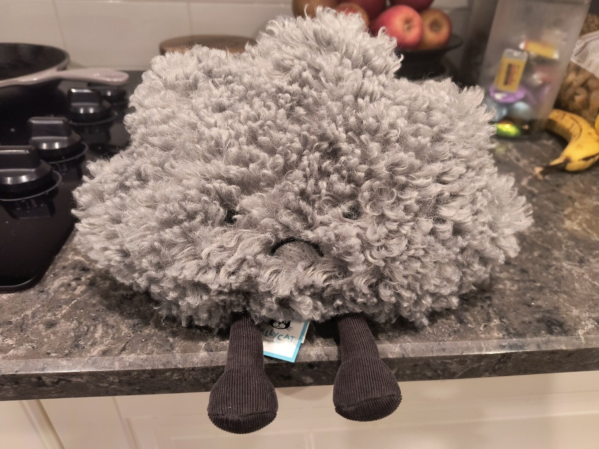 Jellycat Storm Cloud Plush New with tags 100%original NOT