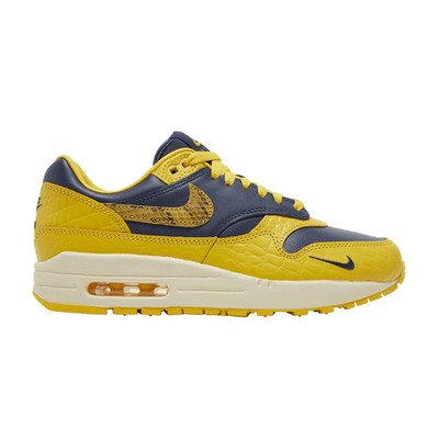 Nike Wmns Air Max 1 Premium 'CO.JP Tournament Winners' FJ5479-410 Shoes