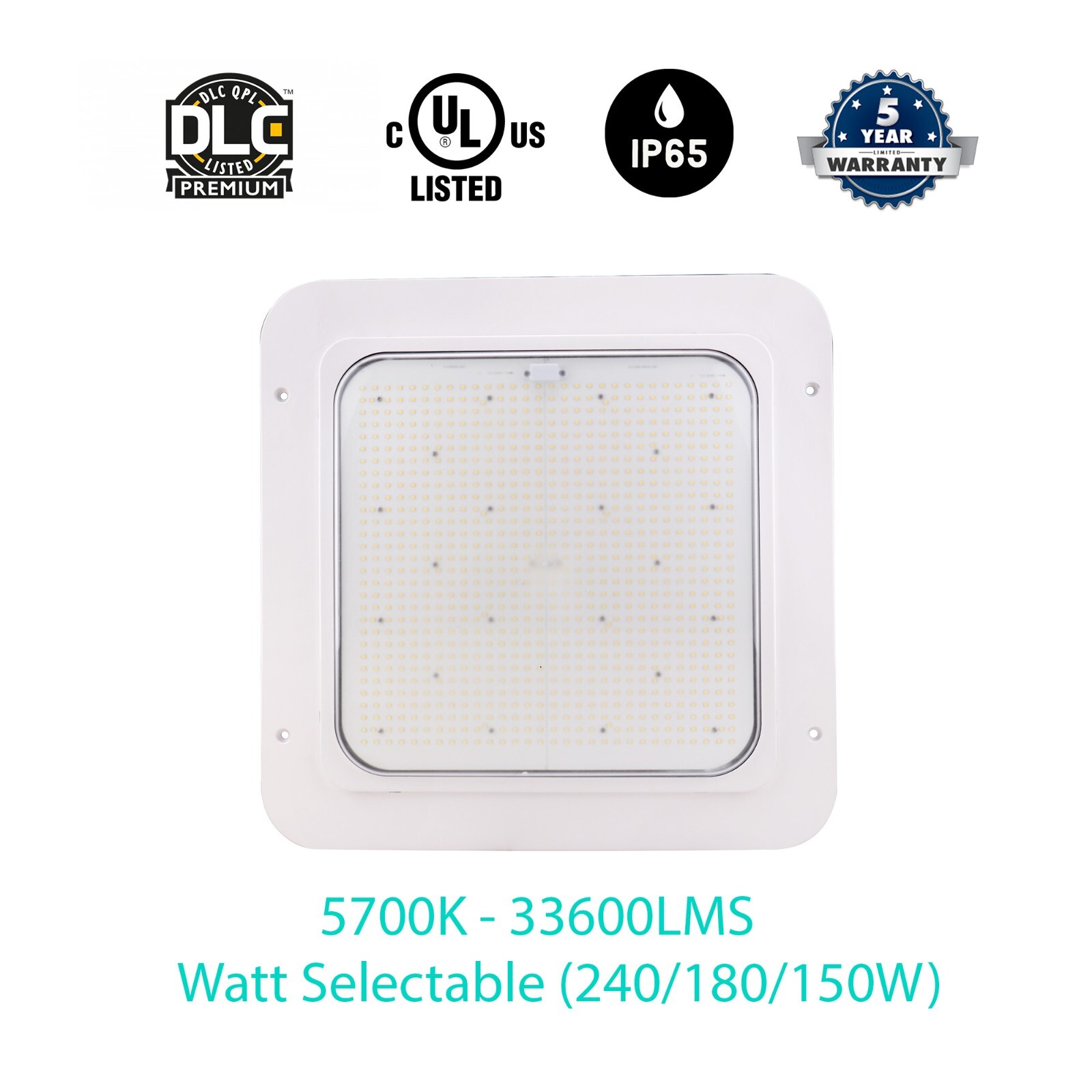 Lights 5700k Watt Selectable (240/180/150w) 33600lms