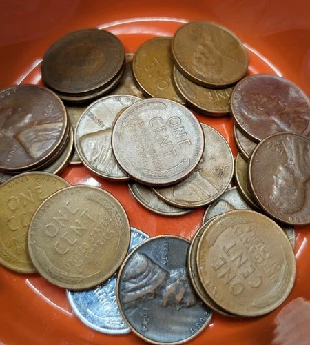 5 Wheat Pennies Random Years 1909-1958 Readable Dates, VG+