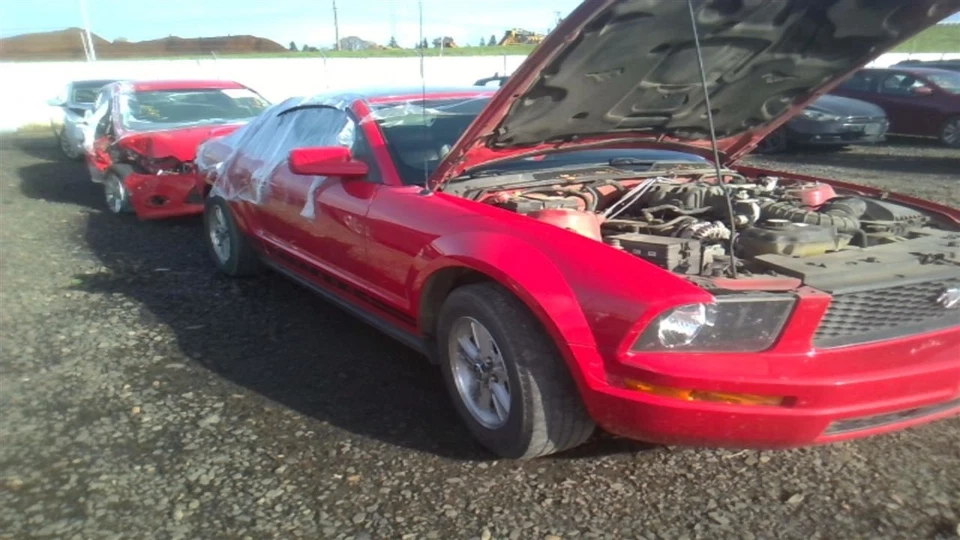 MUSTANG 2006 Door Handle Interior 31280036 Foto 4 de 4