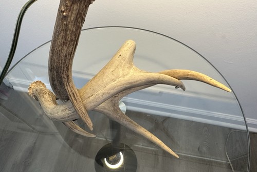 Rustic Corded Antler Table Lamp Hunting/Western Decor cabin Folk Art - Picture 2 of 9