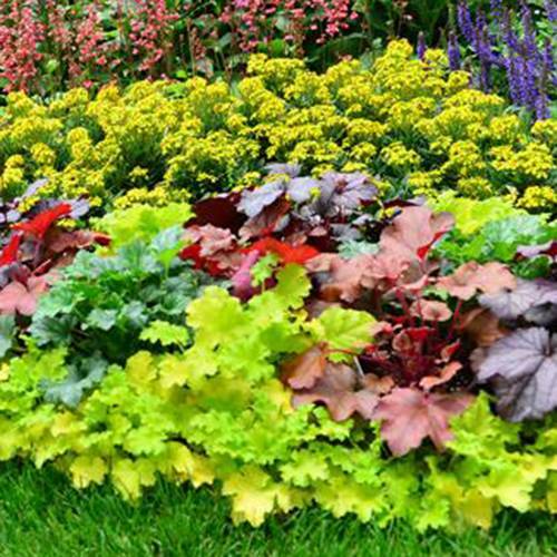 co2 maker for plants ZRDR Aquarium DIY CO2 generator system kit CO2 generator, bubble count –  Muurriel