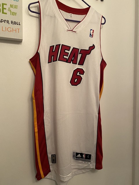 lebron james heat jersey ebay