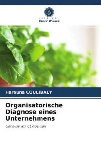 Thumbnail - Organisatorische Diagnose Eines Unternehmens Gehäuse Von Cerige-sarl