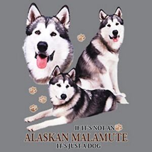 Alaskan Malamute Size Chart