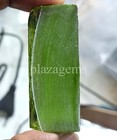 Picture 9 of 11