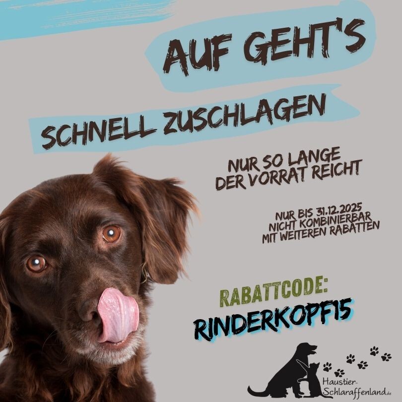 Bild 2 von 16