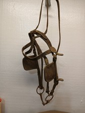 ring snaffle bit on a harness horse bridle. eye blinkers Farm Ranch Tack