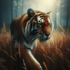 Digital Image Picture Photo Wallpaper Background Desktop Art Tiger Forest #A241
