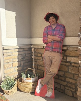 One Direction Harry Styles Stand Up Figure 1D Life Size Cardboard Cutout 2012 