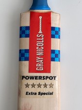 Vintage Cricket bat - Gray