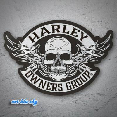  ️ Large Winged Skull Silver Patch ~ Harley Davidson Owners Group H.O.G.
