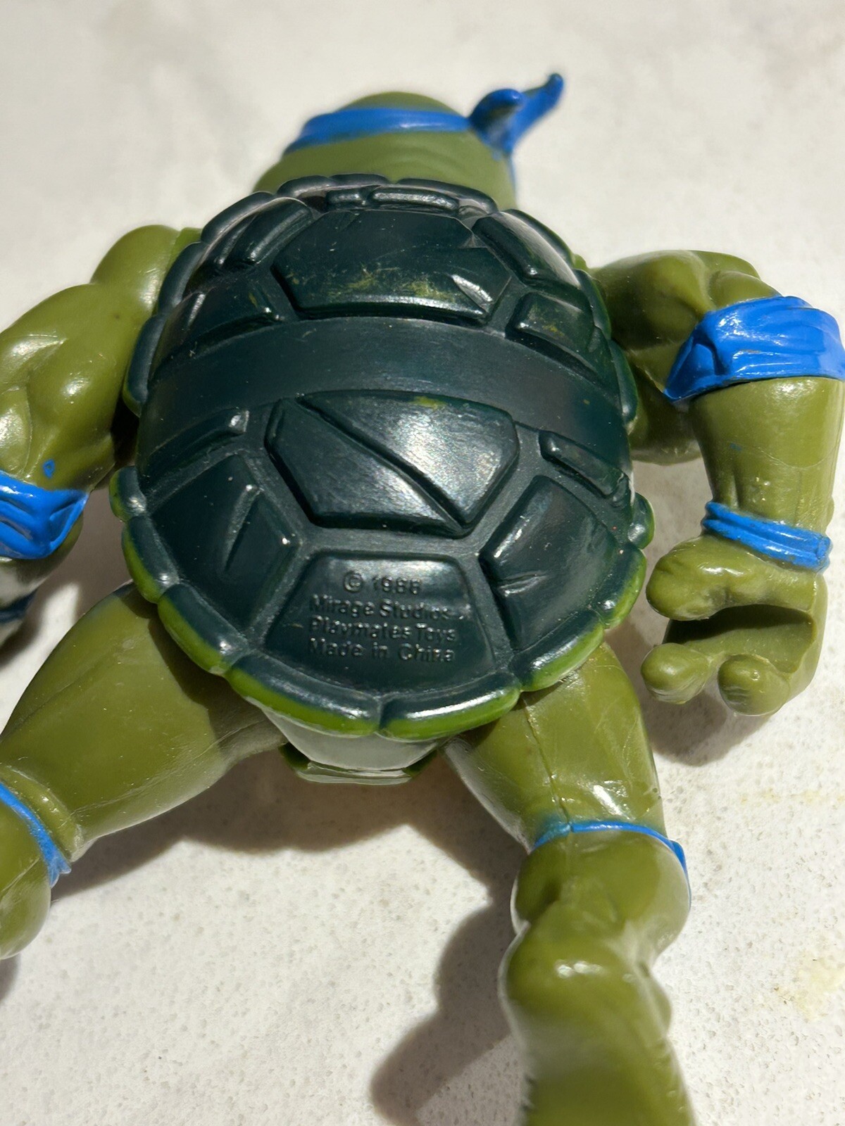 Picture 8 of 10