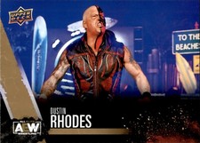 2021 Upper Deck AEW All Elite Wrestling Gold- Dustin Rhodes #4