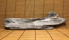 Beautiful 18" Driftwood Piece Terrarium Reptile Taxidermy Aquarium Beach Decor