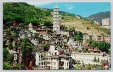 萬虎園 Tiger Balm Garden Temple Buildings Hong Kong China 1960s Postcard