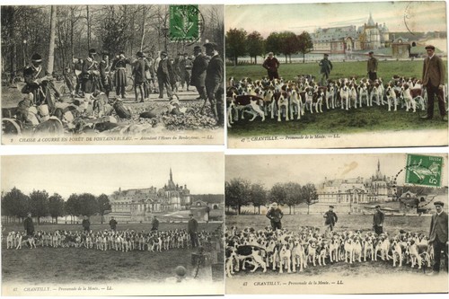 FOX HUNTING SPORT Mostly FRANCE 36 Vintage Postcards Pre-1940 (L4120) - Picture 2 of 9