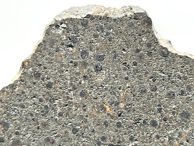 アンモナイト出品 ♡ NWA 15799 (21.74g) CK4 Carbonaceous Chondrite Meteorite