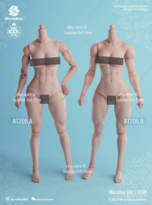 洋書 Male Bodies, Women's Souls 洋書 Male Bodies, Women's Souls Amazon.com: Male Bodies, Women's