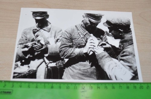 Equipment of carrier pigeons on maneuvers of 1929 Soviet USSR Photo Archive