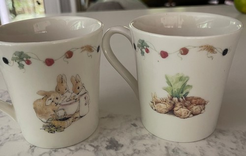 Coppia Tazza World of Peter Rabbit Mitsubishi Ufj MUFG