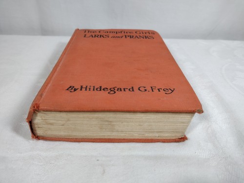The Campfire Girls Larks and Pranks Hildegard G Frey AL Burt ©1917 HC - Picture 4 of 11