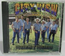 City View - Cd - Vueltas y Vueltas - Latin Chicano Tejano Freddie 1994 Rare