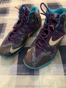 lebron 11 summit lake hornets