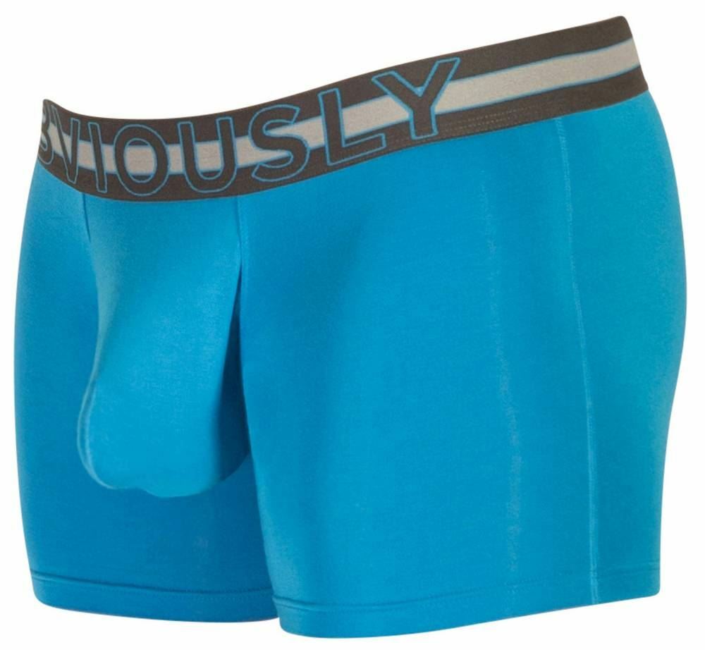 Obviously Men's EveryMan AnatoMAX Boxer Briefs - 6-Inch Leg, Blue, Large Size