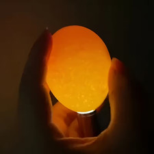 🐣 Mini Portable Egg Candler Light LED – Tester, Hatching Tool, Pigeons, Chicken