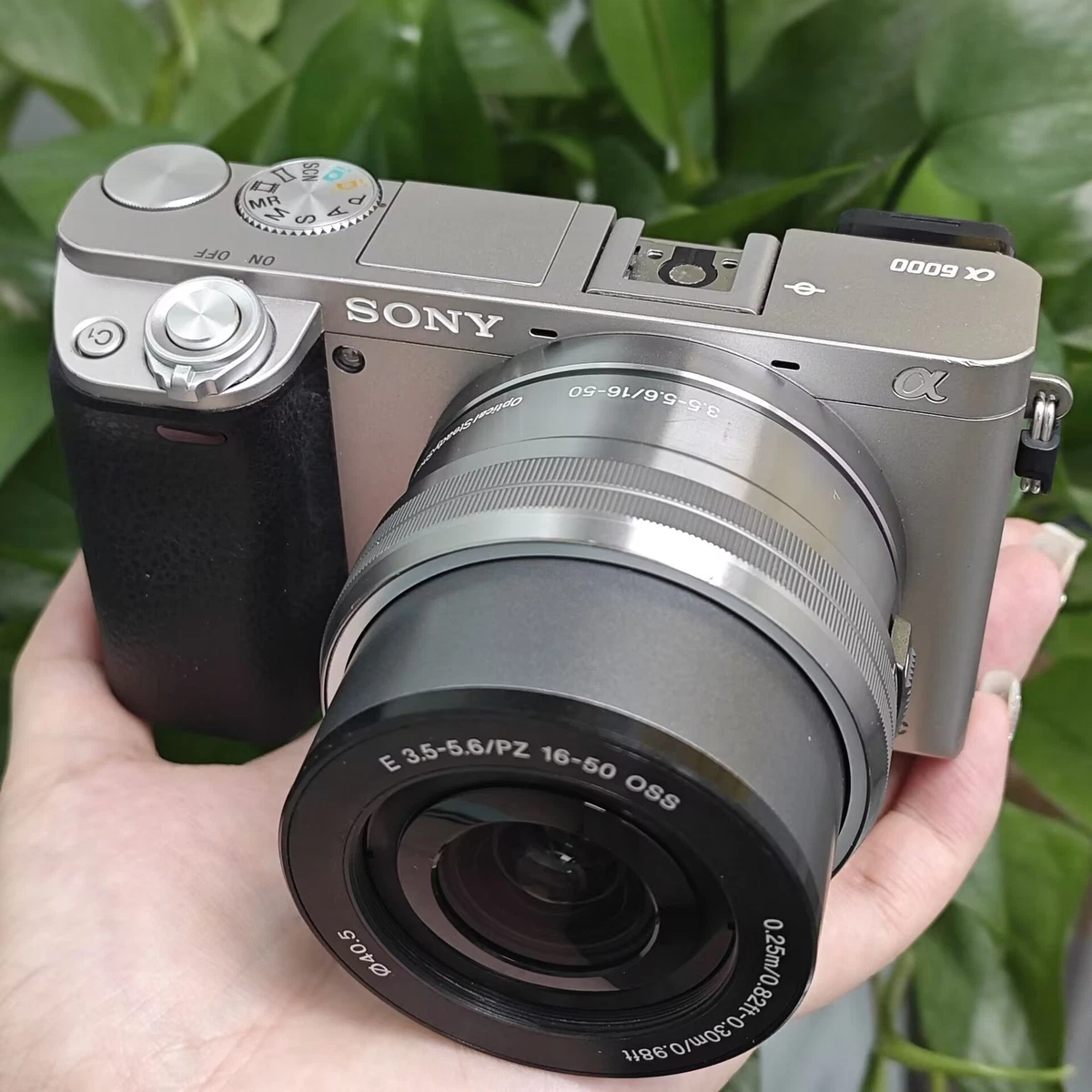 Sony Alpha a6000 3-9.9x Digital Cameras for sale | eBay