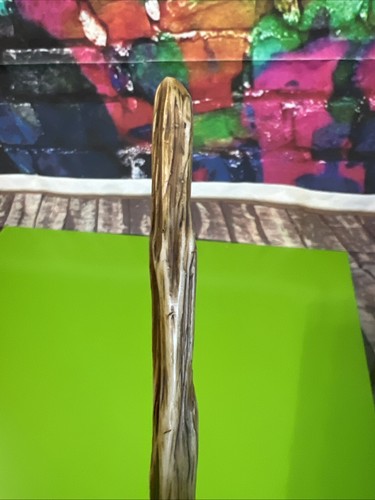 Harry Potter Ollivanders Birch 1 Wand Wizarding World Universal Studios 15” - Picture 12 of 12