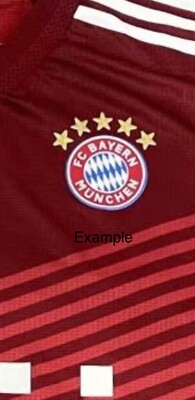 FC Bayern Munchen Munich Patch Iron On Player Version Crest