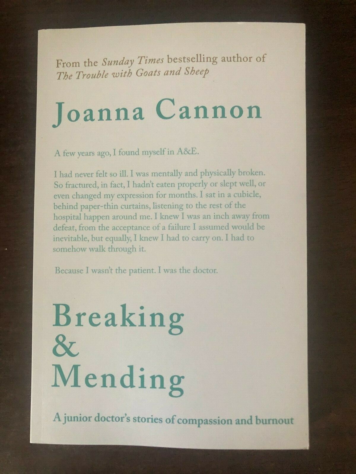BREAKING & MENDING by JOANNA CANNON WELLCOME - P/B - *PROOF*