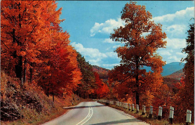 Postcard Autumn Colors Along Winding Roads mountains Fall   UNP