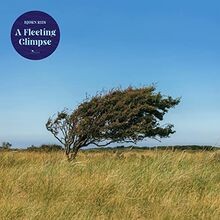 A Fleeting Glimpse von Riis,Bjorn | CD | Zustand sehr gut