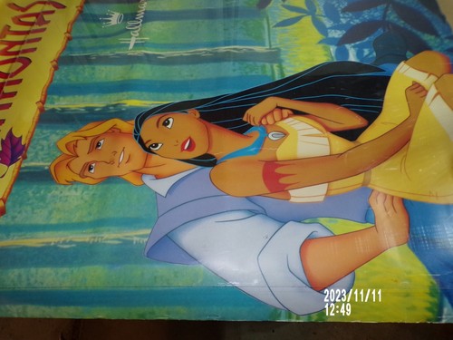 Estandarte de ventana de exhibición de tienda de Pocahantas con sello de Disney - Imagen 14 de 24