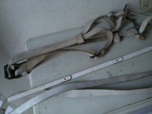 LICOL RENES CAVALERIE EMPIRE XIXe BUFLE BLA LONGE CAVEÇON CUIR ANCIEN BRIDE OLIV - Bild 8 von 12