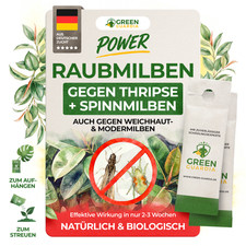 Raubmilben MIX gegen Thripse & Spinnmilben, 1 bis 50 T&uuml;ten, Green Guardia&reg;, BIO