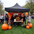 WinSpin 24" Display Prize Wheel Black & Orange Modular Custom Tabletop 12 Slots — photo 3