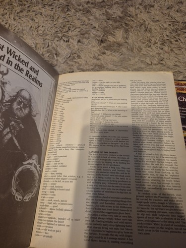 Advanced D&D Forgotten Realms FR13 Anauroch TSR 9320 1991 No Map - Picture 13 of 18