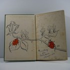 Picture 3 of 23
