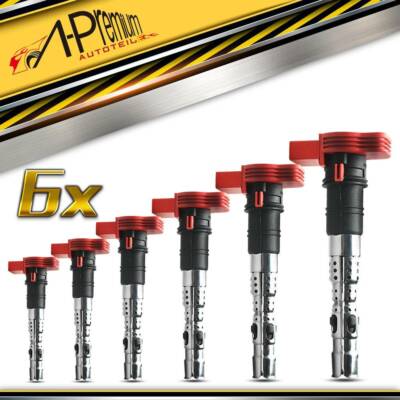 6x Zündspule für Audi A4 8E 8H B6 B7 A5 8T3 A6 4F C6 A8 4E VW Phaeton Touareg 7L